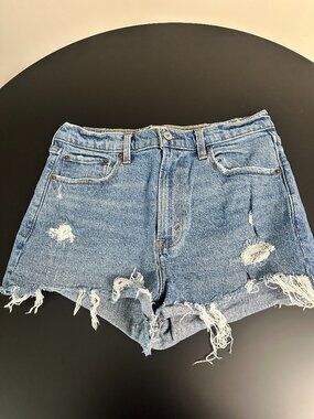 Abercrombie & Fitch “The Mom Short” – Size 6 – High Rise